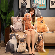 Cat Doll Dog/Pillow 3d Like Real 50cm