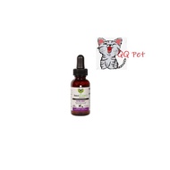 VetriScience DMG 30ml x 1bottle (Immune Booster) Cat Healthcare