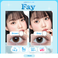 คอนแทคเลนส์ Fay Brown / Gray (Kitty Kawaii) ขนาดมินิ 💙