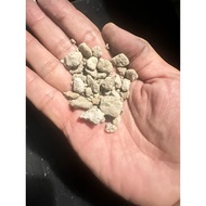 3L,5L,8L Pumice Stone 1-11mm | Bonsai, Succulent, Cactus, Gardening Soil Mix Drainage