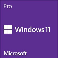 Windows 11 Pro 中文專業版盒裝 USB HAV-00140