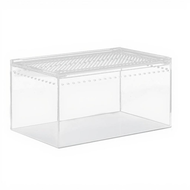 Spotted Gecko Habitat Kit Mini Amphibian Terrarium Beginner Enclosure for Creatures Arachnid Feeding