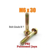 Flange Bolts M6 x 30 / Yellow Flange Bolts M6 x 30 / Grade B 7