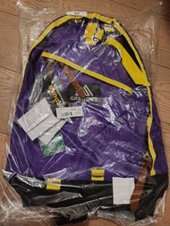 Gregory daypack 紫黃