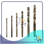 Lanlong 3.0 / 3.5 / 4.0 / 5.0 / 9.0 / 10.0 MM Straight Shank Twist Metal Drill Bits