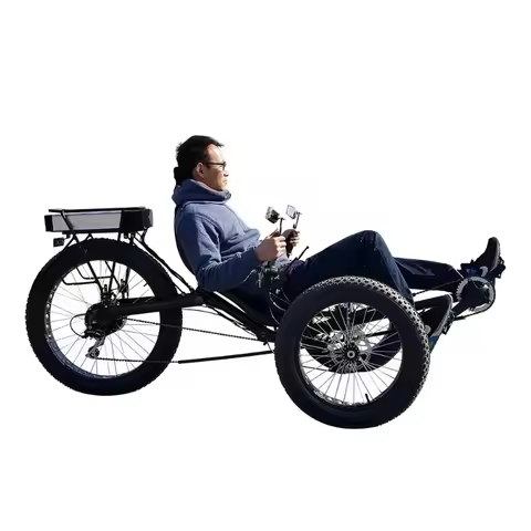Free Door To Door Shipping 3 Wheel Adults Outdoor Sports Foldable Fat Tyre Recumbent Trike Electric 