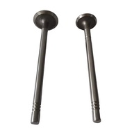 Engine Intake Valve / Exhaust Valve Ford T6 – Engine Sparepart