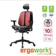 ERGOWORKS Duorest Alpha Renewal Ergonomic Mesh Chair (2023 EDITION), Black Frame Office Home Ergonomic Chair