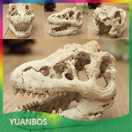 YUANBOS เรซินจระเข้กะโหลกศีรษะ Terrarium สัตว์เลื้อยคลานตู้ปลาตกแต่งตู้ปลา