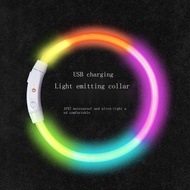 Pet Luminous Collar Anti-Lost ⭐Collar Kucing ⭐Colar Kucing ⭐Collar Cat