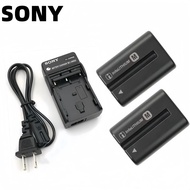 Sony DSLR-A300 A200 A450 A350 A100 SLR Camera FM500H Battery+Charger