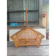 JEBOK BURUNG RUMAH (LEKIR/MERBAH)