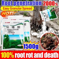 1000% rotten root Tree killer Strongest tree poison Root rot in 1 day No damage to the soil Stronges