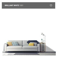 Nippon Paint Vinilex Easywah Brilliant White 1001 5L