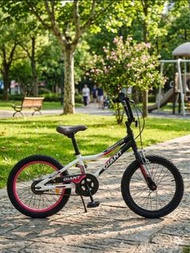 中童單車 Giant Animator Kids Bicycle