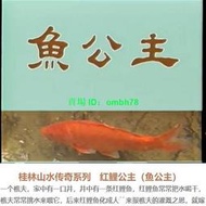 【限時下殺】1DVD國語【魚公主-紅鯉公主 桂林山水傳奇系列】 經典收藏  碟