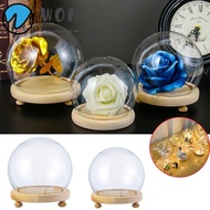 WON Glass cloche Home Decor Plants Spherical Glass Vase Terrarium Transparent Bottle Flower Storage box
