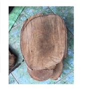 5 miếng gỗ vú sữa ghép lan đường kính từ 16 đến 20 cm