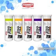 Hammer Nutrition Endurolytes Fizz