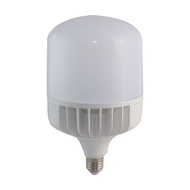 Rang Dong BULB LED light BULB 40W