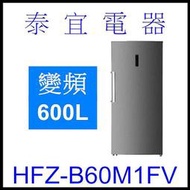 【泰宜電器】HERAN禾聯 HFZ-B60M1FV 600L 直立式冷凍櫃【另有HFZ-B5011F GR-DL88SV