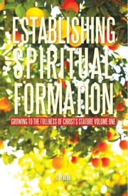 Establishing Spiritual Formation B M Way