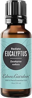 Edens Garden Eucalyptus- Radiata Essential Oil, 100% Pure Therapeutic Grade (Undiluted Natural/Homeopathic Aromatherapy Scented Essential Oil Singles) 30 ml