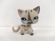 LPS Toy pet shop Grey short hair Cat #468 Littlest Pet Shop kid toy