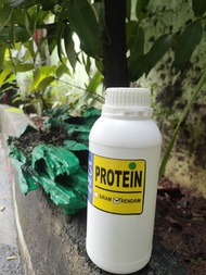 NUTRISI LAMITECK TAUGE BOTOL KECIL KHUSUS RENDAM
