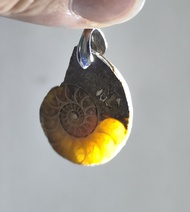 Natural Crystal Ammonite Fossil Pendant 天然水晶 斑彩螺 顺风螺吊坠