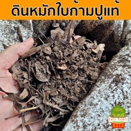 ดินหมักใบก้ามปู หน้าดิน ผสม ใบก้ามปูหมัก ผุ เปื่อย ดินพร้อมปลูก ขนาด 2 กก.