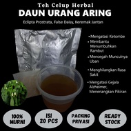 Teh Celup Herbal DAUN URANG ARING Mengatasi Ketombe Uban Menumbuhkan Rambut Alzheimer Liver Hati