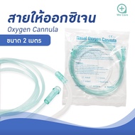 สายให้ออกซิเจน สายออกซิเจนเสียบจมูก  Nasal Oxygen Cannula สำหรับผู้ใหญ่ สำหรับให้ออกซิเจนทางจมูก ยาว