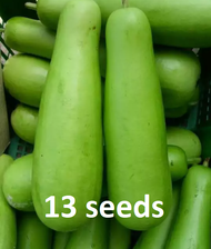 upo / bottle gourd seeds - 25pesos per pack - condor seeds - plant seed - vegetable seeds - TAMBULI 