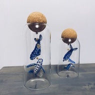 大翅鯨 座頭鯨 玻璃罐 擺飾