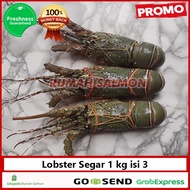 Lobster Laut Fresh Segar Besar 1 kg isi 3 ekor/LOBSTER SEGAR FRESH