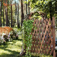 [Gamchiano] Wooden Fence, Extendable Trellis Fence, Lattice Fence, Freestanding Photo Accessories