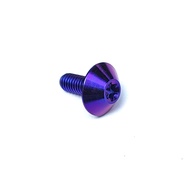 น็อตไทเทเนียมแท้ M8x20-60 หัวจมดาว (ราคาต่อตัว)