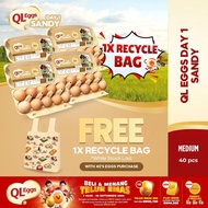 QL Eggs Day 1 Sandy - Medium 40pcs Fresh Egg Farm Fresh Egg Telur Segar