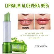 - Aloe Vera 99% Gel - Lipstick Aloevera Soothing Long Lasting Lip Moisturizing Gel