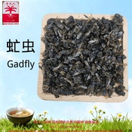 虻虫 牛虻 抵当汤 经方用藥 保证优质中藥材 【李氏人 CYLEE】Gadfly