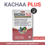 KACHAA PLUS คาซ่า พลัส สารสกัดกระชายดำ มีส่วนช่วยในการบำรุงร่างกาย (6 แผง x 10 เม็ด)