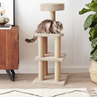 HY-6Cat Climbing Frame Cat Nest Cat Tree Integrated Large Tongtianzhu Wooden Cat Rack Space Capsule Jumping Platform Toy