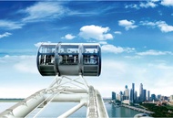 Singapore Flyer flyer cheap ticket discount promotion Adventure cove water park S.E.A Aquarium Unive