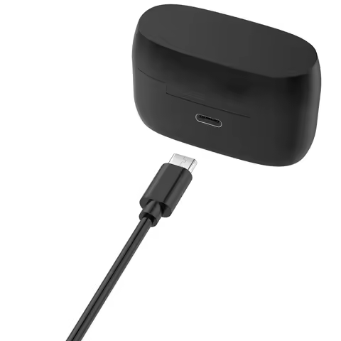Earbuds Charging Case for Jabra Elite 4 Active Headset Charging Compartment for Elite4 Active BT Wir