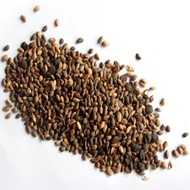 Pine Oil Pine Seeds Wholesale Forest Seeds Seeds Greening Spring Broadcast Black Pine Oil Varieties 