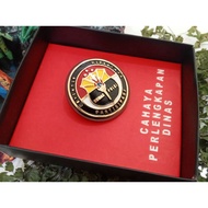 Customs Pin