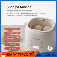 SG [READY STOCK] Mini Egg Cooker Machine Buydeem Steamer Electric Tefal Steamer Europace Steamer Electric Food Steamers