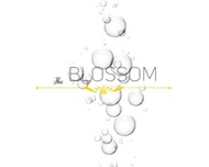 Preservative Paraben Free/ Cosmetic Preservative- For skincare personal care & cosmetic making(anti-