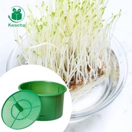Kesoto Bean Sprout Pot, Soilless Seedling Box, Planter, Nursery Container, Sprouting Container for B